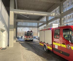 Mikołaj odwiedził małych pacjentów Matki Polki. Rozdano aż 300 prezentów [ZDJĘCIA]