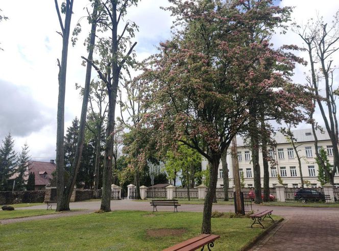 Sanktuarium Maryjne - Salezjanie Różanystok