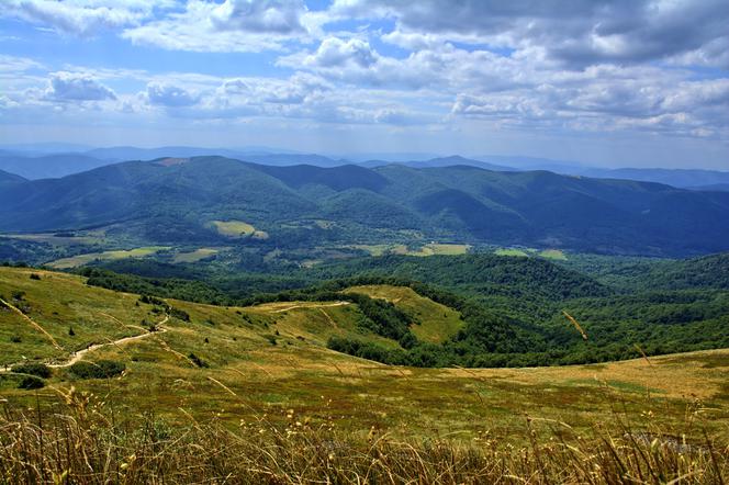 Bieszczady