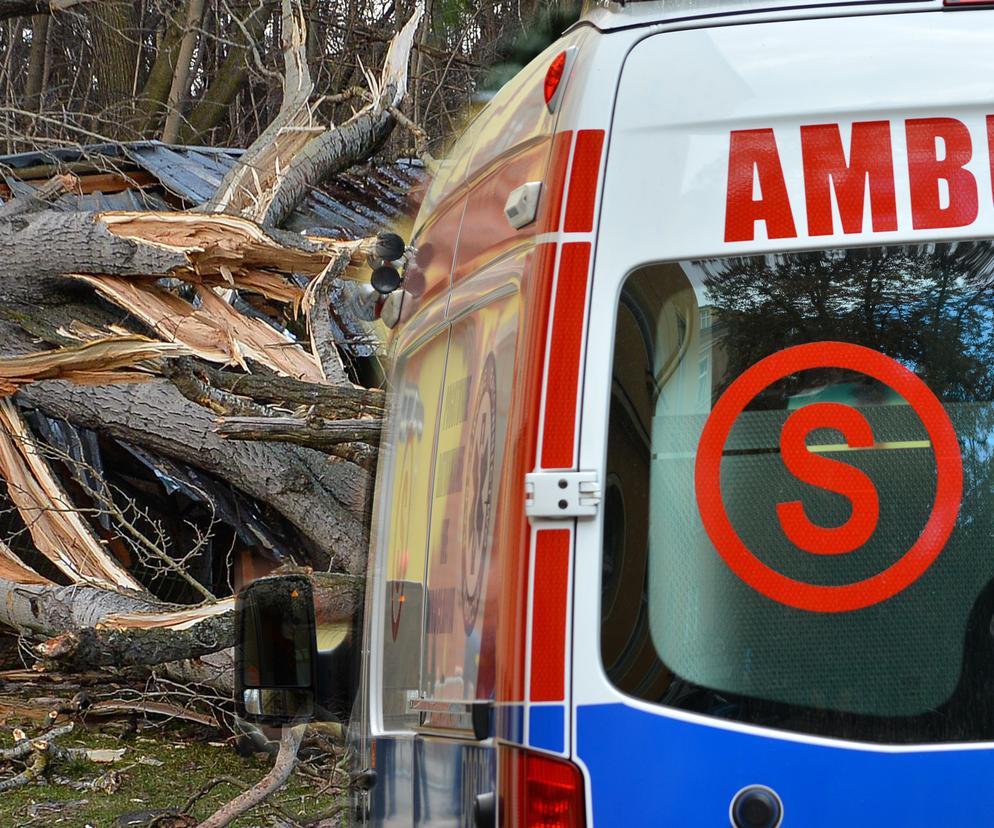 Tragedia podczas usuwania drzewa. 54-latek zmarł w szpitalu