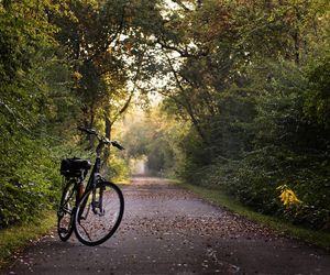 Rowerowy Pchli Targ 2024 w Lublinie. Przed nami jesienna edycja wydarzenia. Wstęp jest darmowy!