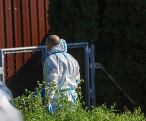 Sąsiad odkrył zbrodnię. Zobaczył Katarzynę i wezwał policję