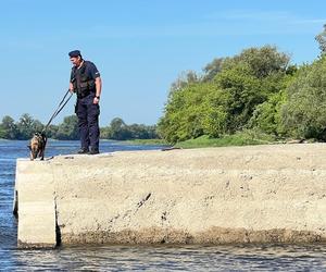 Działania służb na Wiśle w Toruniu. Straż, policja, strażnicy miejscy i grupa poszukiwawcza w akcji