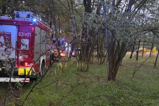 Runął konar, zatrzymało się serce. Walka o życie 19-latka w Tworogu