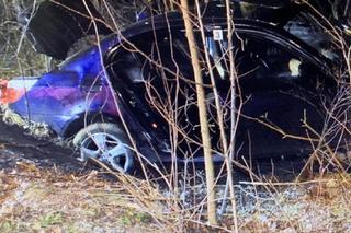  W wypadku w Półsierakowie zginęły dwie osoby. Kierowca BMW stanął przed sądem [GALERIA]