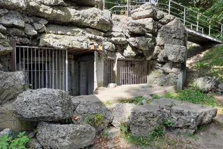 Wycieczka krajoznawcza Muzeum Regionalnego w Siedlcach śladem upamiętnień wojny polsko-bolszewickiej z 1920 roku