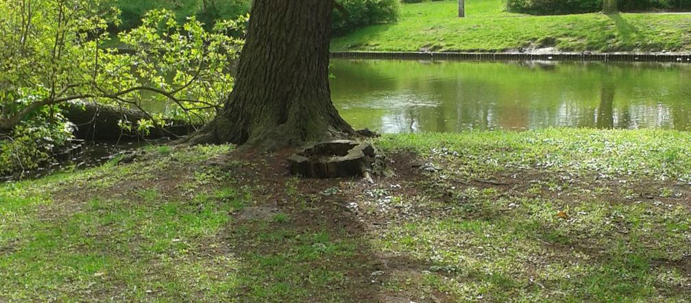 Stary Kanał Bydgoski