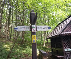 Nowa Słupia, Puszcza Jodłowa i Święty Krzyż