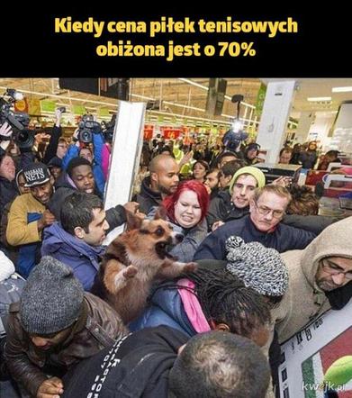 Black Friday w memach internautów