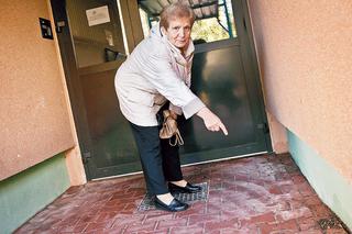 Paskudne krocionogi atakują Lublin