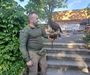 Poszukiwacze skarbów opanowali Ostrzeszów! To był weekend pełen atrakcji [GALERIA]