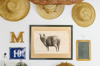 Oddałam serce igle 1