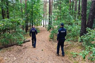 Zgubiłeś się w lesie? Mundurowi radzą co robić