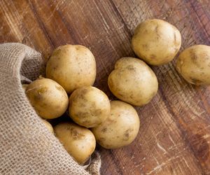 Zaguby podlaskie przepis z Mielnika nad Bugiem na zawijane pierogi z ziemniakami