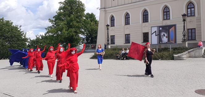 Wdowy milcząco przeszły przez Lublin. Był to protest przeciwko budowie kopani węgla przy Poleskim Parku Narodowym