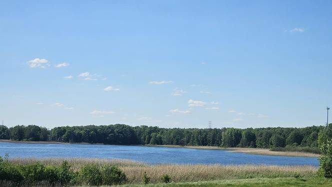 Było, zniknęło i... powróciło. Zobacz magiczne jezioro Track na obrzeżach Olsztyna [ZDJĘCIA]