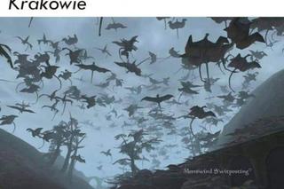 Najlepsze memy o Krakowie. Te grafiki bawią do łez 