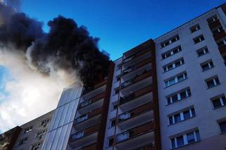 Poznań: Ogień zniszczył pięć mieszkań! Pogorzelcy potrzebują wszystkiego