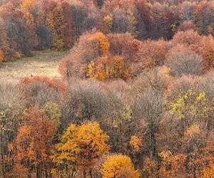 Jesienne Bieszczady