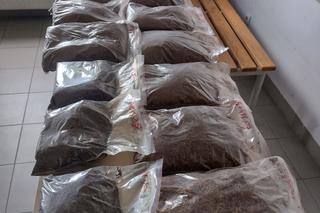 Kobieta usłyszała zarzuty