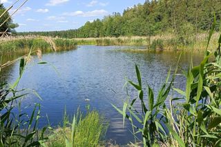 Jezioro Komosa obok miejscowości Krasne na Podlasiu