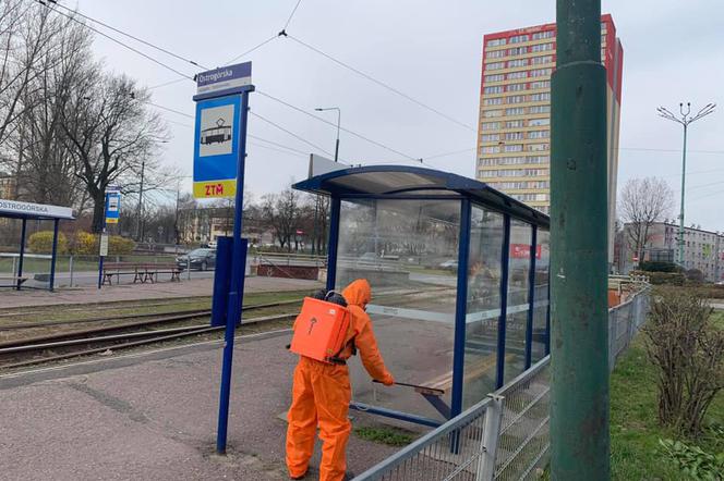 Dezynfekcja przystanku tramwajowego w Sosnowcu