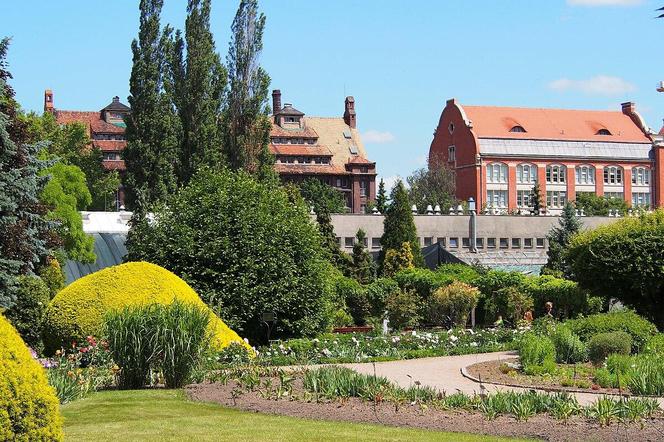 Ostrów Tumski we Wrocławiu - zdjęcia. Co warto zwiedzić?