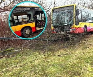 Wypadek na Ursynowie. Kierowca autobusu miejskiego uderzył w latarnię. Szokujące ustalenia