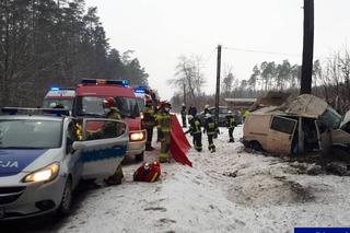 Śmiertelny wypadek w Lidzbarku. Bus uderzył w drzewo. Nie żyje młoda kobieta