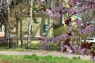 Leszno w kwiatach. Kwiecień 2025