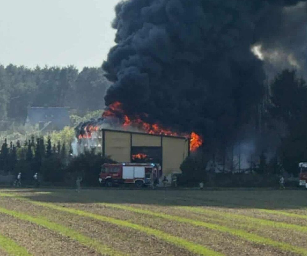 Pożar w Siarzewie. Płoną hale produkcyjne