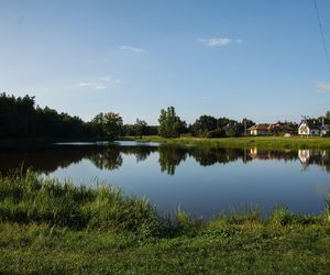 Staw Traczewskich w Głogowie Małopolskim.