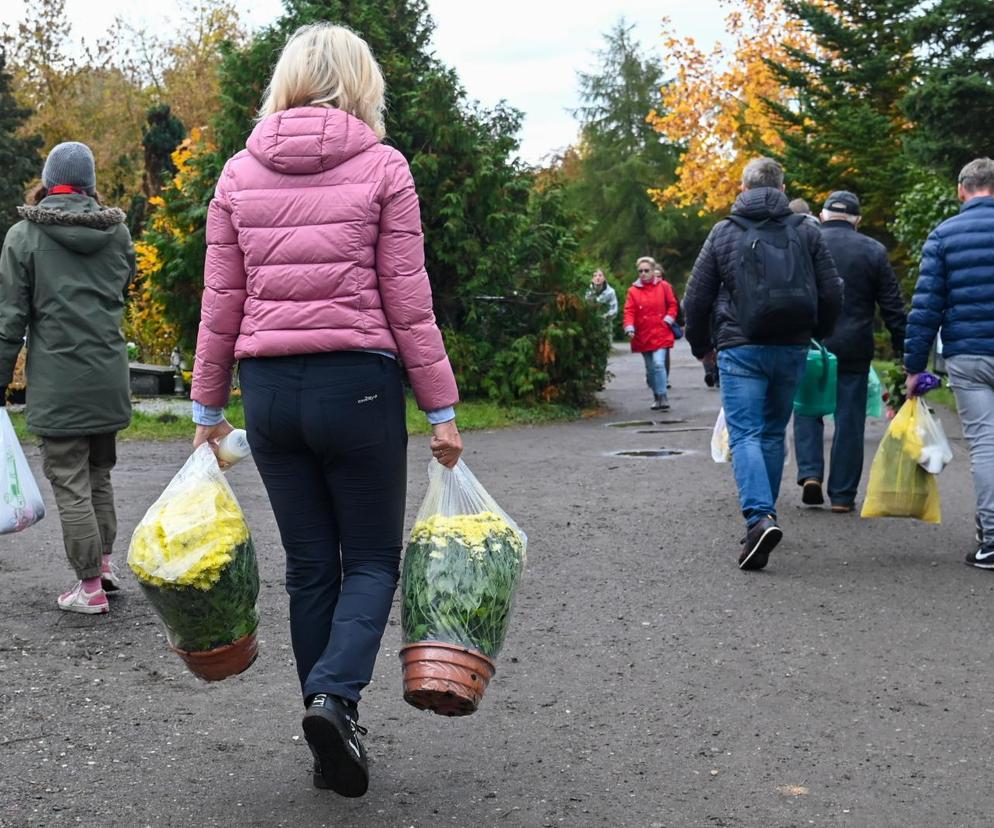 Porządki na Cmentarzu Centralnym w Szczecinie