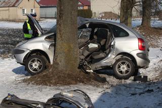 WYPADEK SKOŃCZYŁ SIĘ NA DRZEWIE