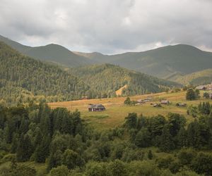 Quiz. Podkarpacka gwara nie ma przed tobą tajemnic? Odpowiedz, co oznaczają te słowa 