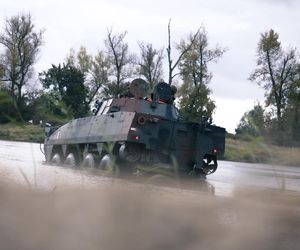 Dzielny Bóbr-25