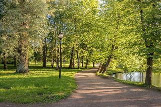 Rodzinna leśna gra terenowa już niebawem w Zielonej Górze