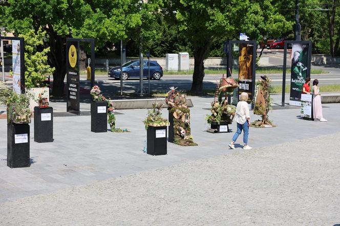 Weekend z florystyką w Lublinie. Zobacz imponujące roślinne instalacje w centrum miasta!