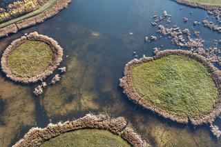 Cud natury ukryty w lesie. 9 wysp na jeziorze niedaleko Zielonej Góry