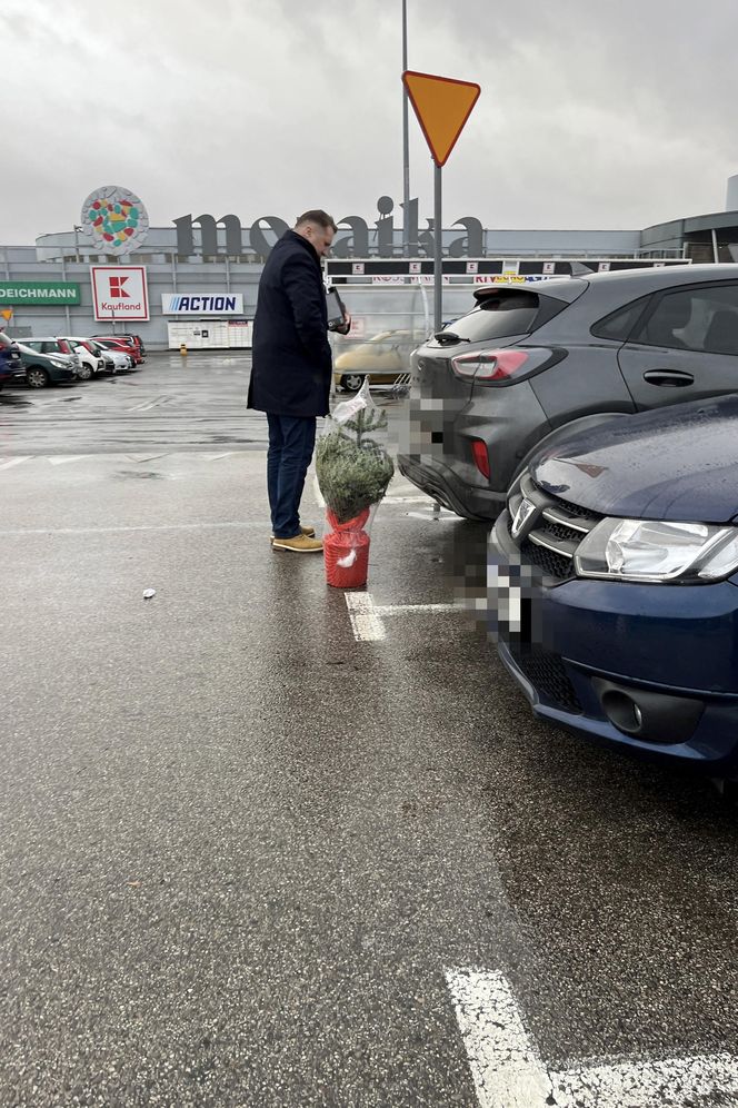 Przemysław Czarnek kupuje choinkę dla wnuka