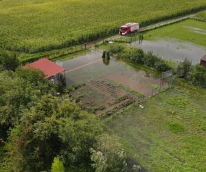 Sceny jak z powodzi! W Grudziądzu podtopiło kilka działek rekreacyjnych 