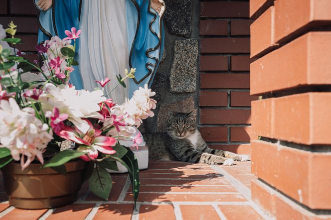 To najpiękniejsza wieś w woj. warmińsko-mazurskim. Zwyciężyła w ważnym konkursie