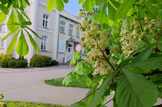 Pogoda na matury 2024. Czy będzie ciepło? Są już najnowsze prognozy! 