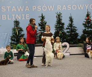 Międzynarodowa Wystawa Psów Rasowych 2024 w Lublinie