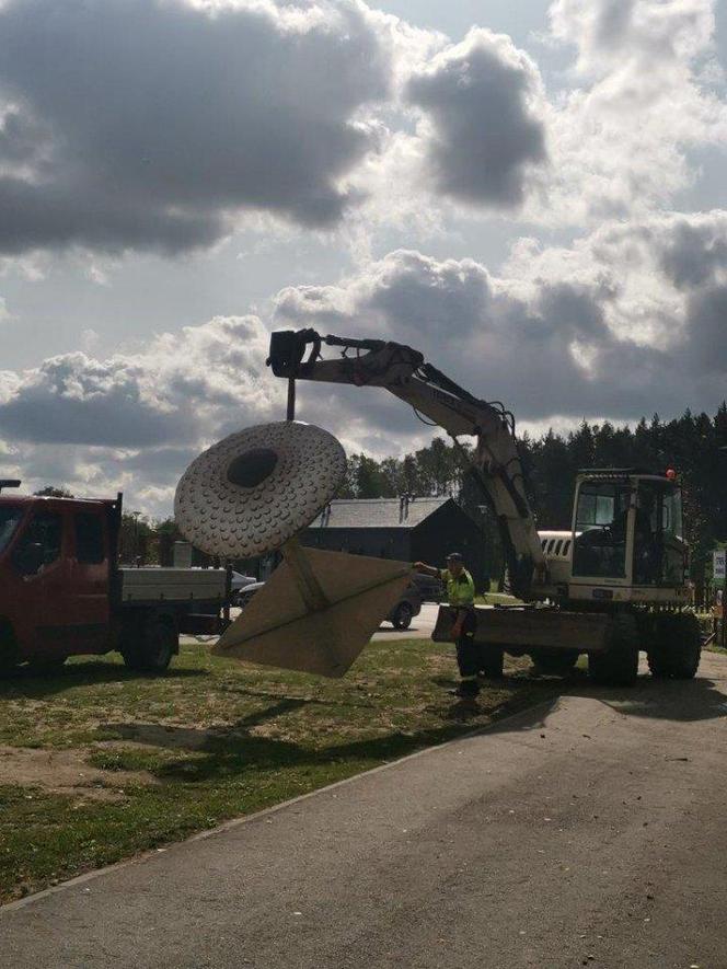 Olbrzymie modele grzybów w gminie Chmielnik