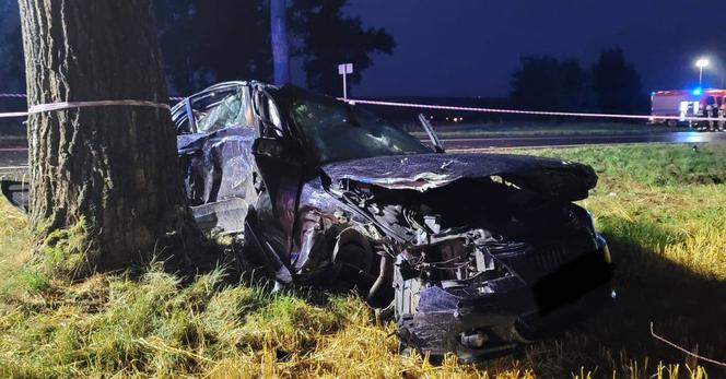  3-letniej dziewczynce pękła czaszka. Tragedia w Ucieszkowie [ZDJĘCIA]