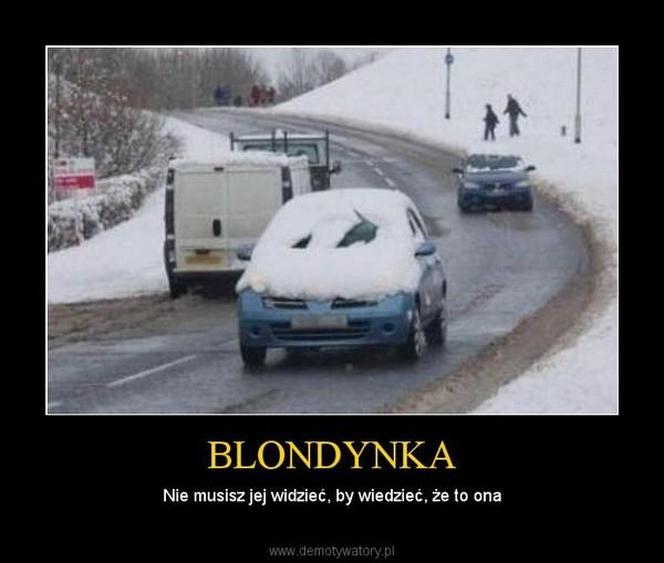 Najlepsze memy o blondynkach