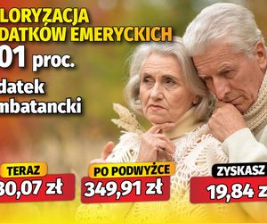 Waloryzacja 6,01 proc. dodatków emeryckich