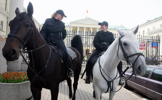 POLICJA KONNA