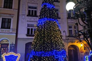 Tarnów. Plac Kazimierza ozdobiony przed Bożym Narodzeniem. Wygląda, jak w bajce